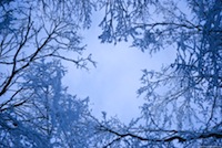 winter