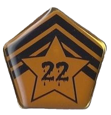 weem22pin